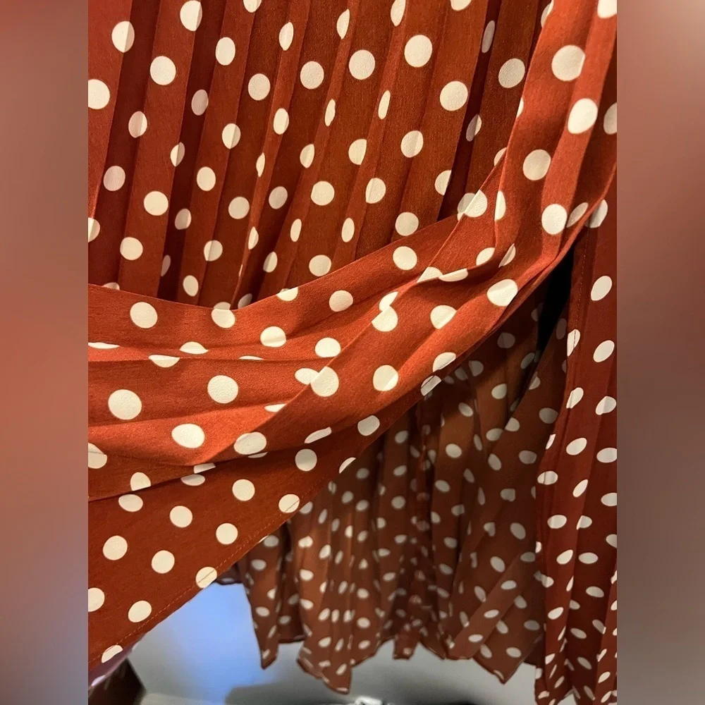 Vada Winter Rust Brown Polka Dot Skirt